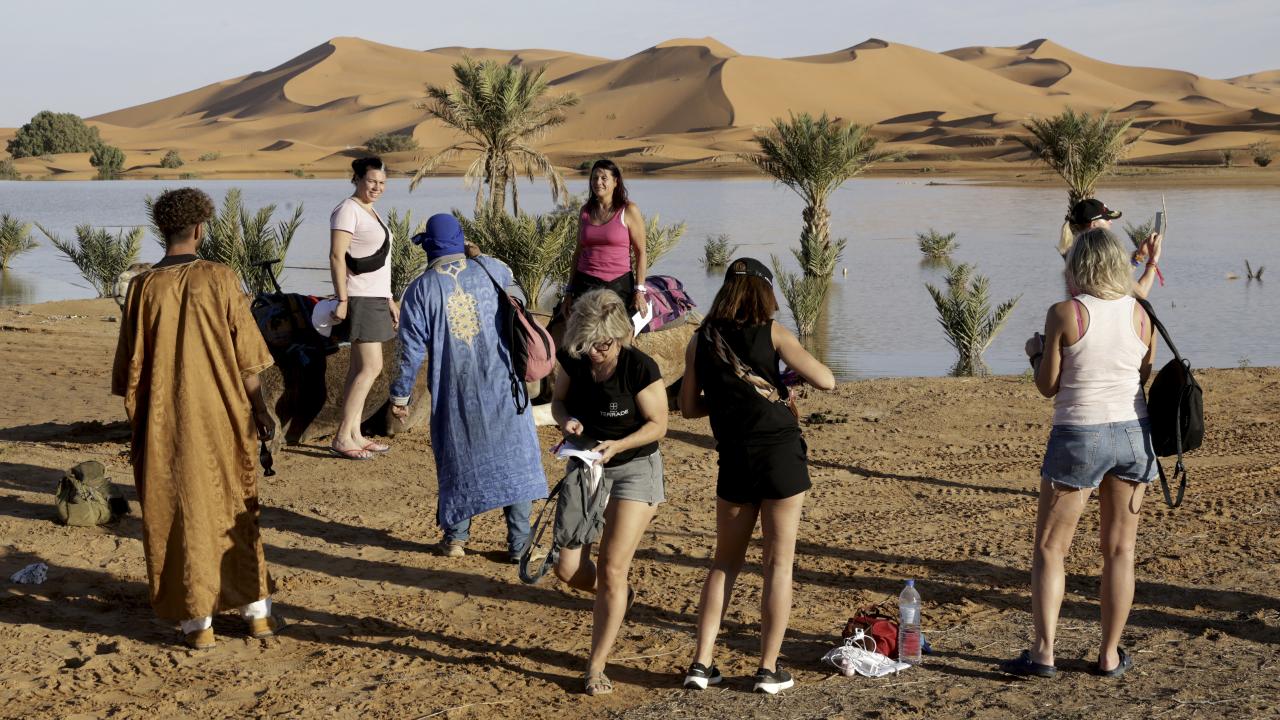 Sahra Çölü'nde ender görülen yağış gölleri canlandırdı