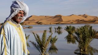 Sahra Çölü'nde ender görülen yağış gölleri canlandırdı