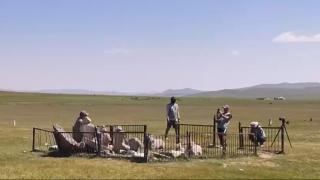 Türk tarihi için önemli keşif: Togu Balık