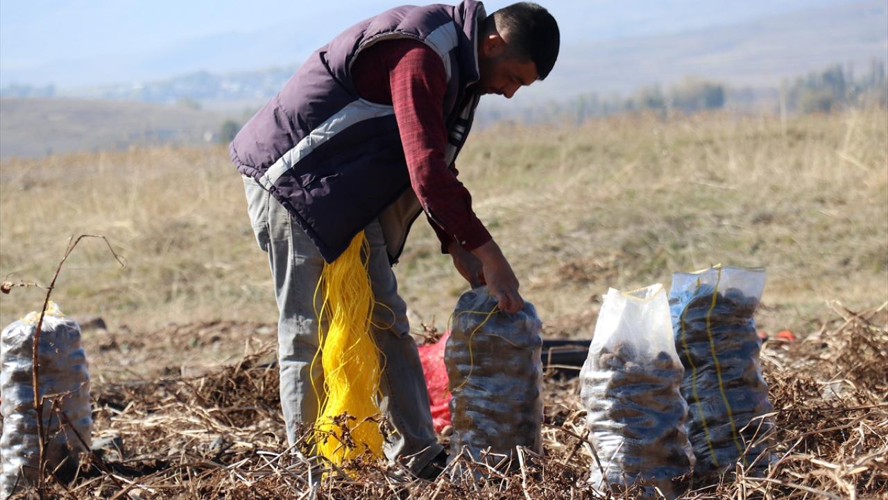 "Pasinler Ovası`nda duyuldukça ve görüldükçe yayılacak"