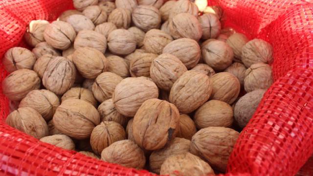TİGEM, 20 Ton Mahsul Ceviz İçin İhale Düzenleyecek