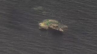 Yunanistan'ın denize bıraktığı düzensiz göçmenleri Türkiye kurtardı