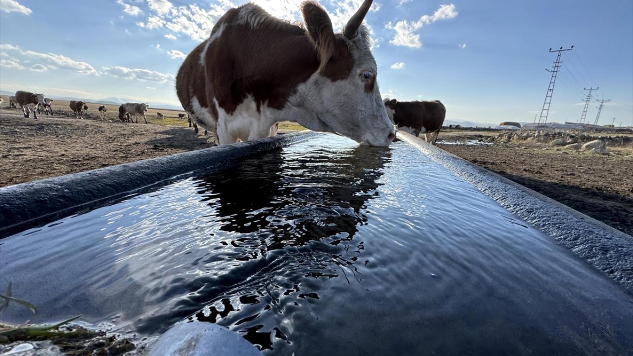 "Hedeflerimizden biri, Türkiye`nin en zengin yaylalarını değerlendirmek"