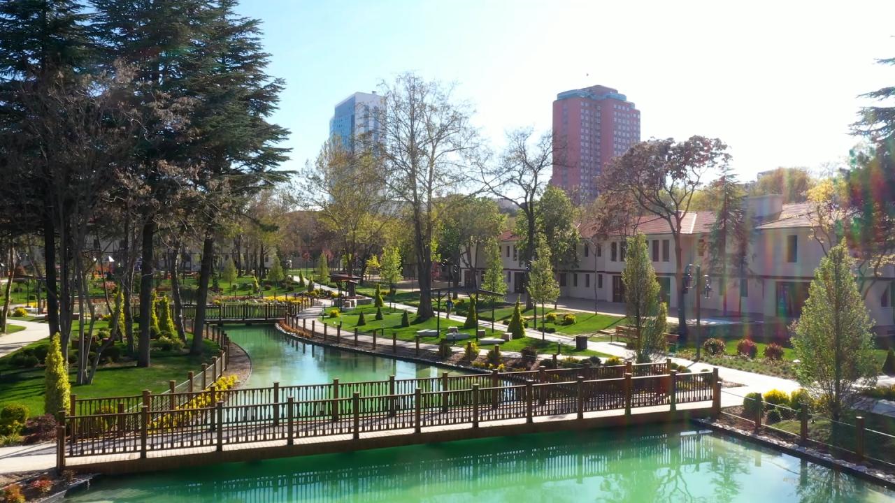 210 anıt ağaç koruma altında