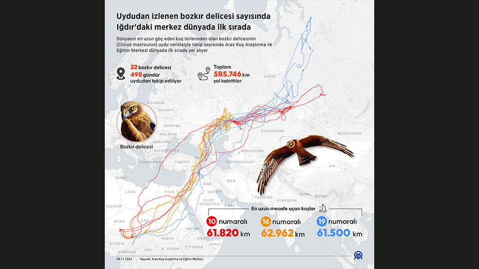 Numaralanan kuşlar uydu vericileriyle takip ediliyor