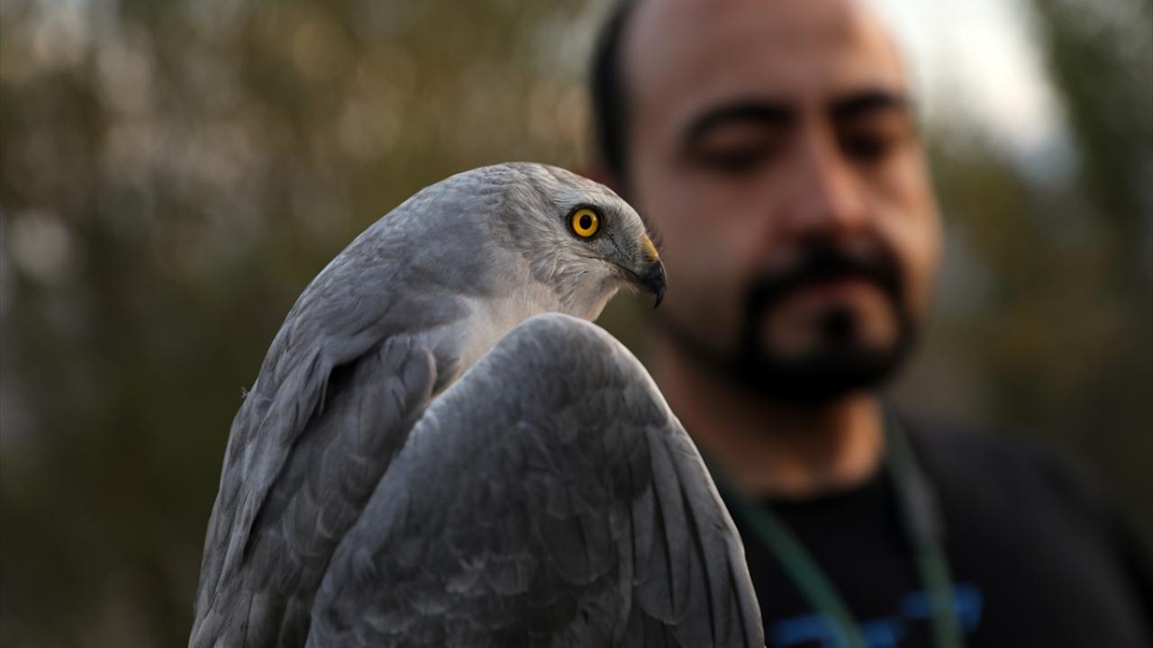 "Bir yandan Sibirya Arktik Okyanusu kıyısı bir yandan Nijerya çölleri"