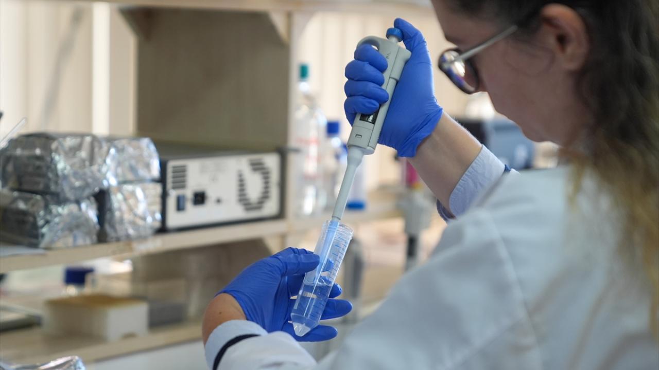 "Çalışmaların insan sağlığına zararlı etkisi yok"