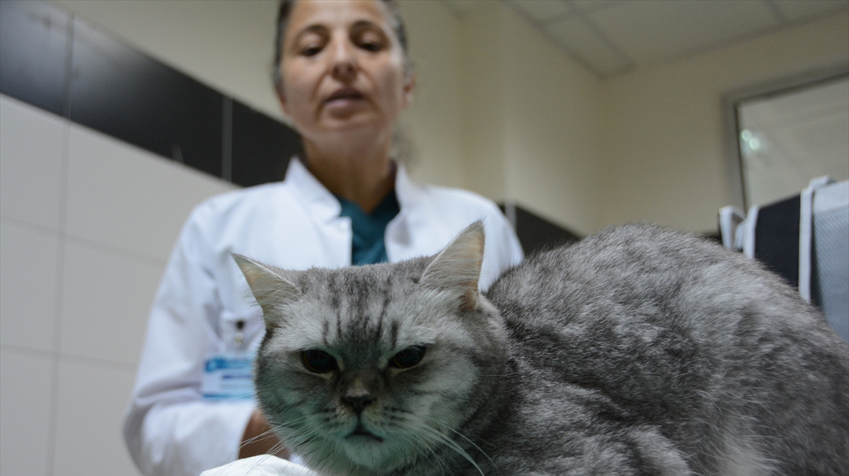 "Bu ameliyat Türkiye`de bir ilk"