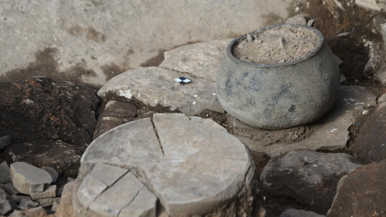 Pişirmeyle ilgili fonksiyona sahip alan keşfedildi