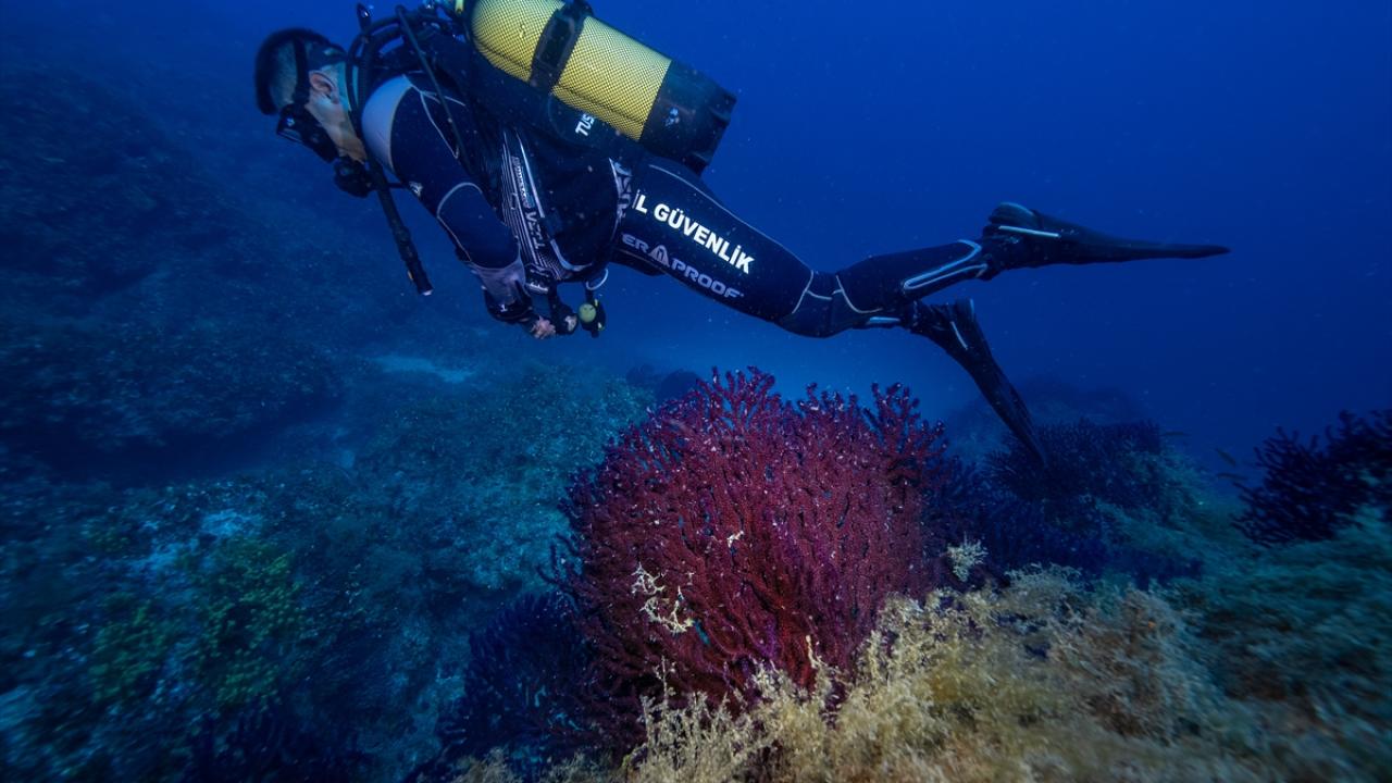 "Burası çok özel bir nokta"