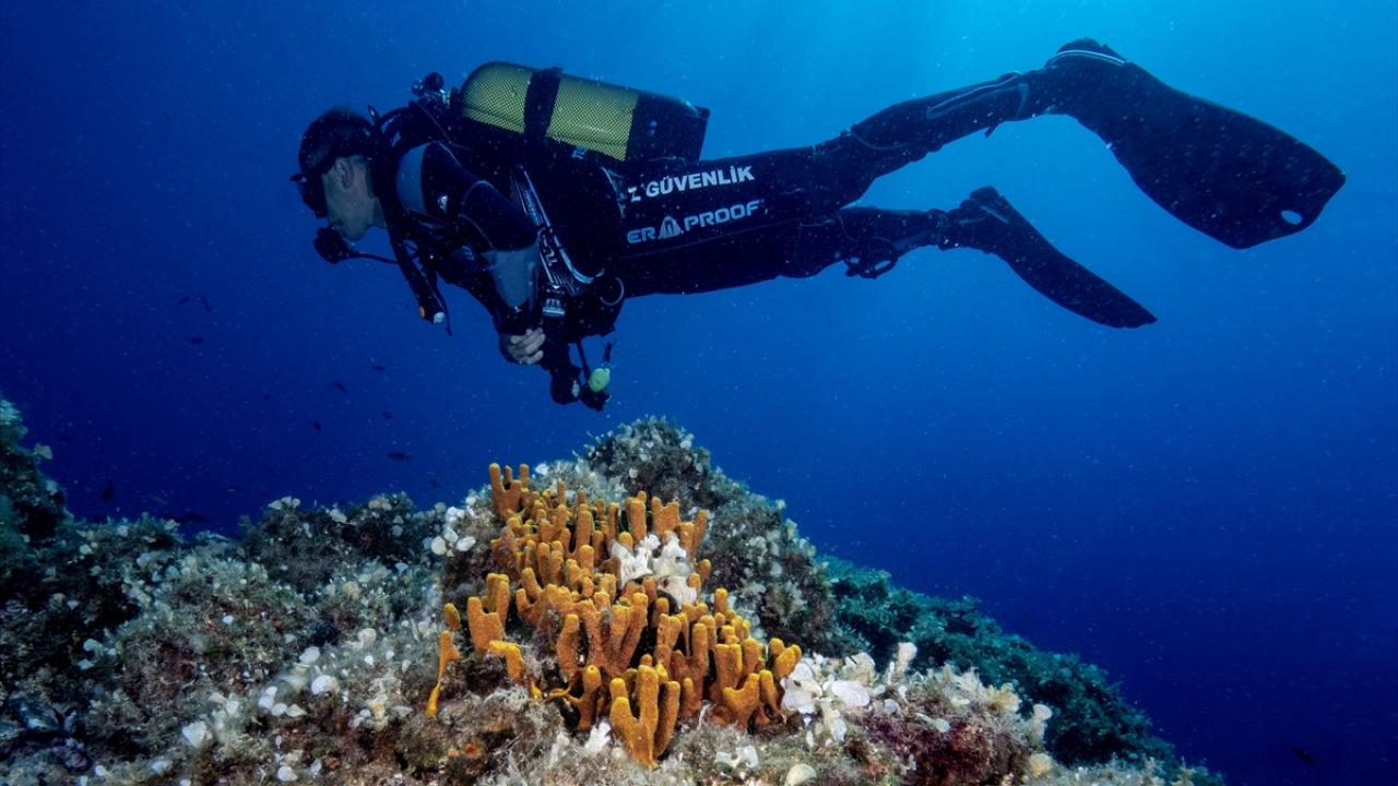 Bölgeye adını veren Deli Mehmet`in hikayesi