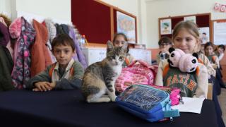 Kedi "Karamel" sınıfın 36'ncı öğrencisi oldu