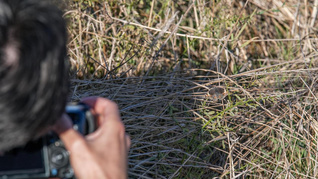 "İlk defa bugün fotoğrafladım"
