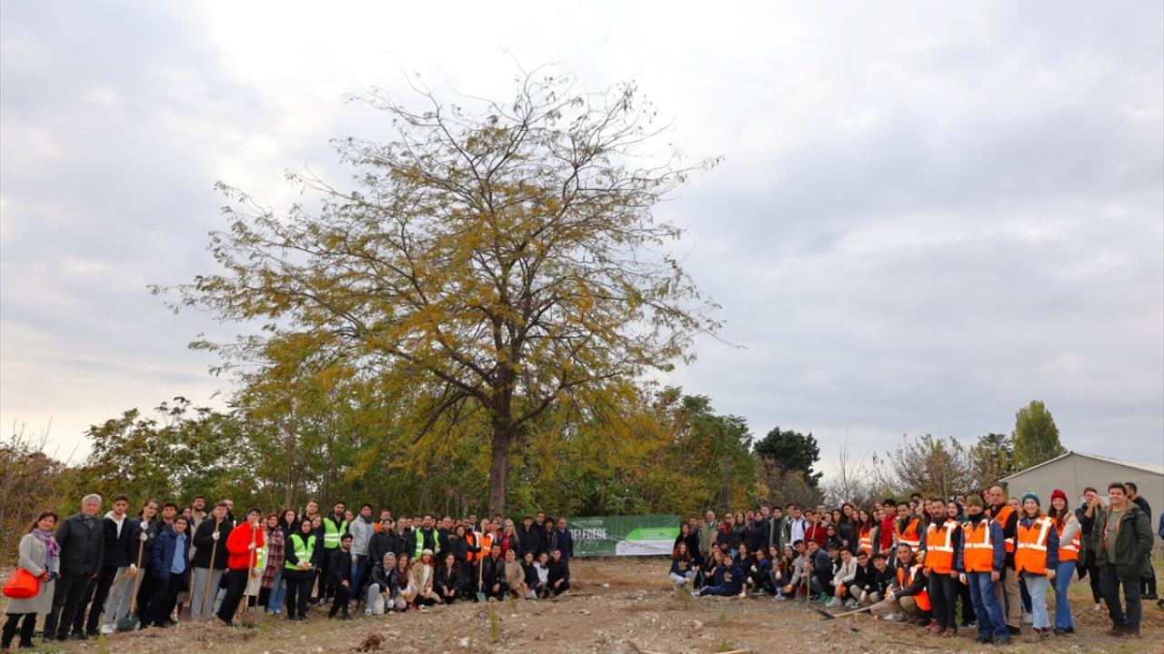 İstanbul Üniversitesi-Cerrahpaşa'nın 7 yerleşkesine 1071 fidan dikildi