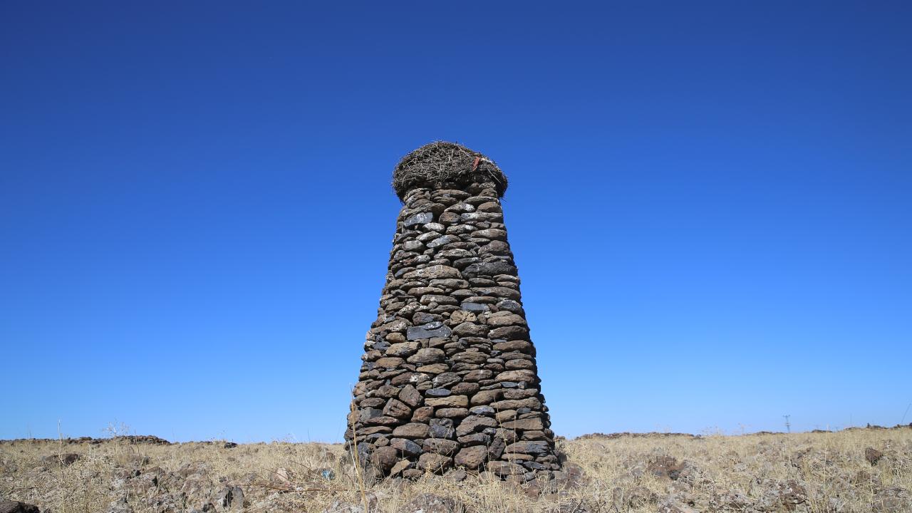 "Bu kuleyi tek başıma yaptım"