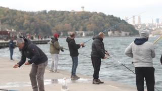 İstanbul Boğazı'nın balık tutkunları