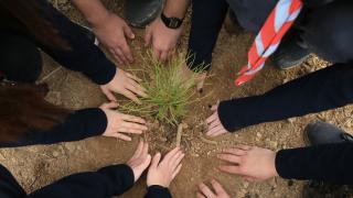 81 ilde "Milli Ağaçlandırma Günü" etkinliği yapıldı