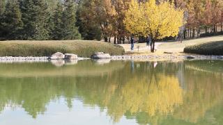 Bozkırın ortasındaki Japon Bahçesi, sonbahar renkleriyle ziyaretçileri ağırlıyor