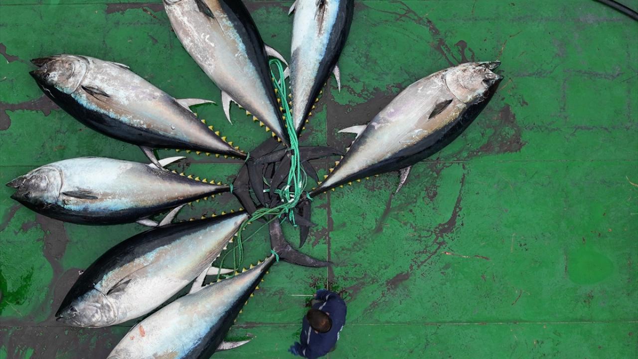 "Bu işin zahmeti çok büyük"