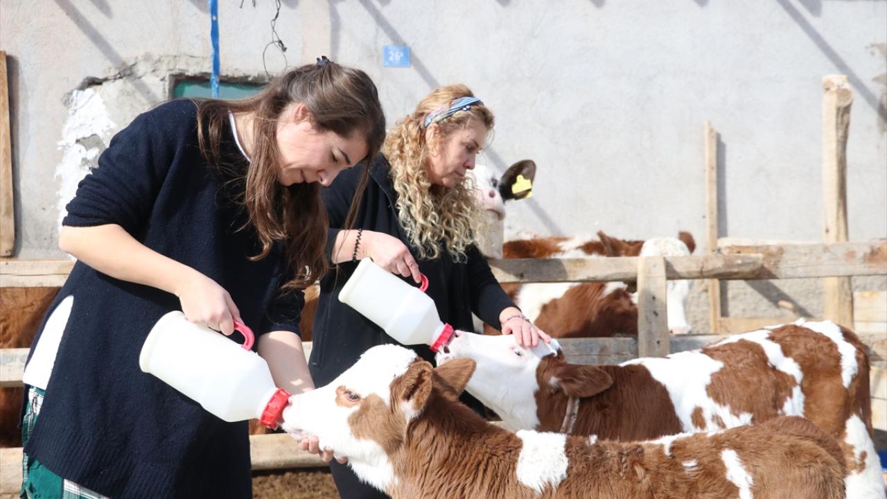 "Doğum olduğu zaman yeni bir hayat başlamış oluyor"