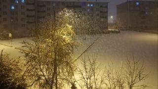 Erzurum'a kar yağdı