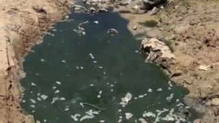 İsrail, Gazze'nin geleceğini de katlediyor