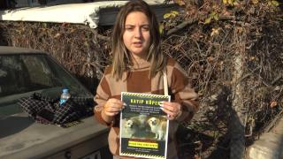 Önce kendisi sonra da evcil köpeği pitbull saldırısına uğradı