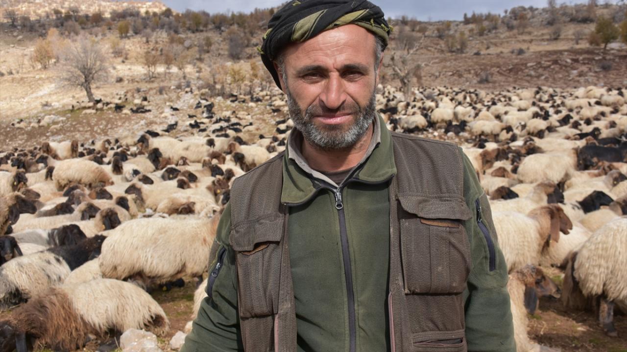 "1 saat hayvanlarımız dinlendikten sonra tekrar yola koyulacağız"