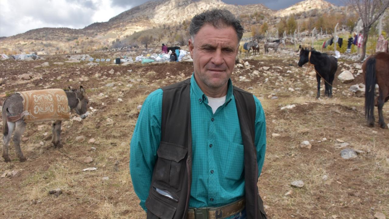 "Hakkari yaylaları bu yıl güzeldi, hayvanlar için verimli oldu"