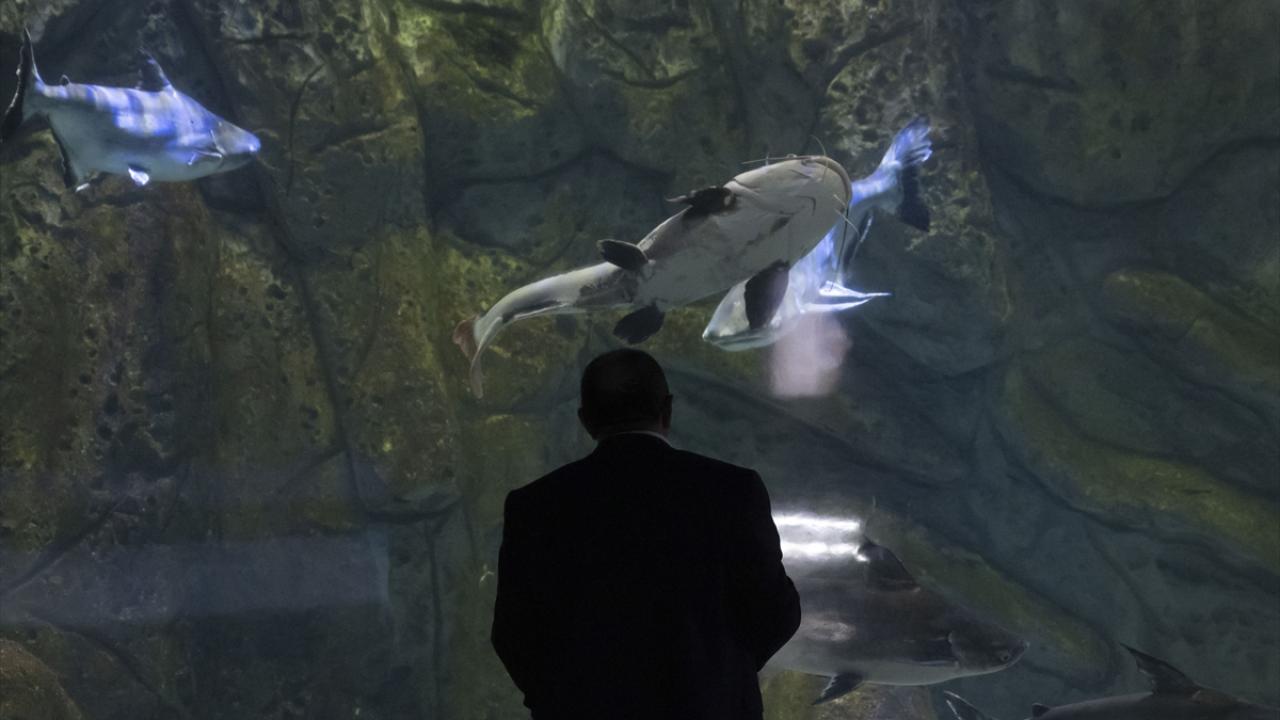 "Mesleğimi duyanlar şaşırıyor"