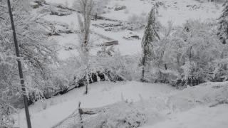 Adana'ya kar yağdı