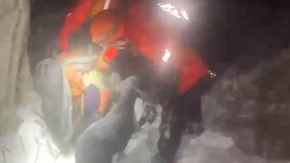 Kuzularına sarılı halde bulunmuşlardı... Yaşlı çift o anları TRT Haber'e anlattı