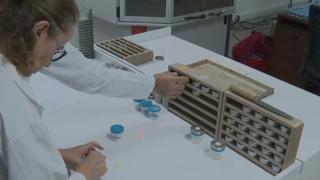 MTA Türkiye'de böbrek taşı analizi yapan tek merkez