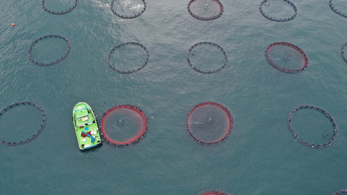 Tesis sayısı son yıllarda arttı