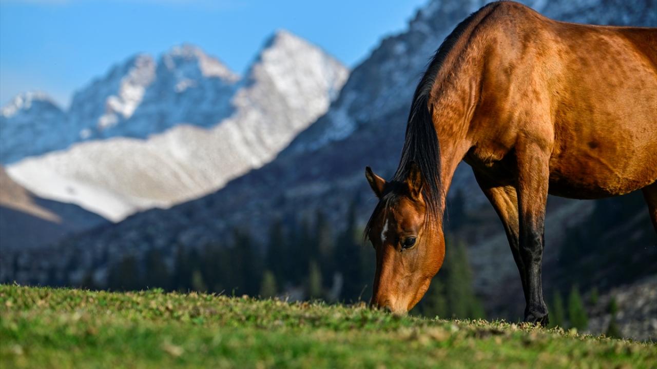 "Temiz havada çalışıp günü geçirmek daha iyidir"