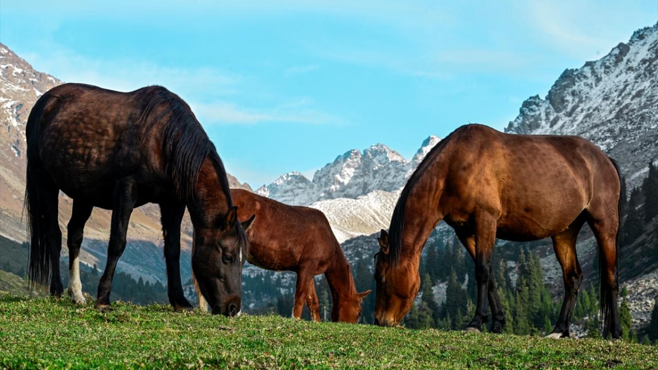 "Günlerimizi iyi geçiriyoruz"
