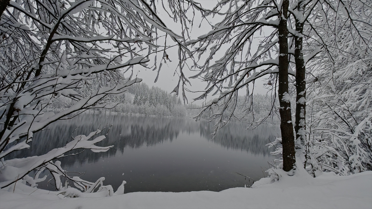 "Doğaseverlere diyorum ki rotanızı muhakkak Şavşat Karagöl`e çevirin" 
