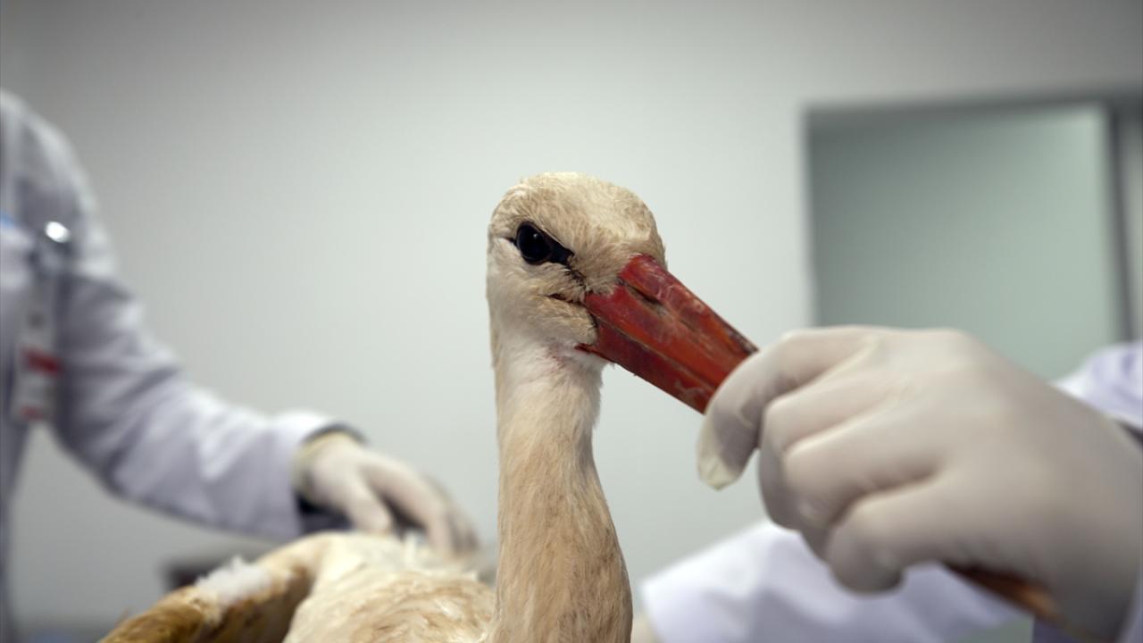 "Uçtuğu anı görmek inanılmaz büyük bir mutluluk olacak"