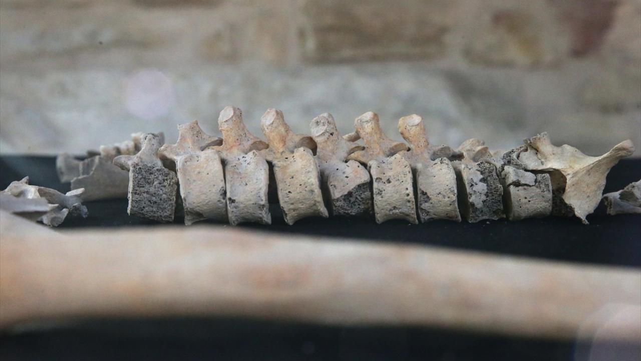 "İlk bilgiler şu an için gerçekten umut verici"