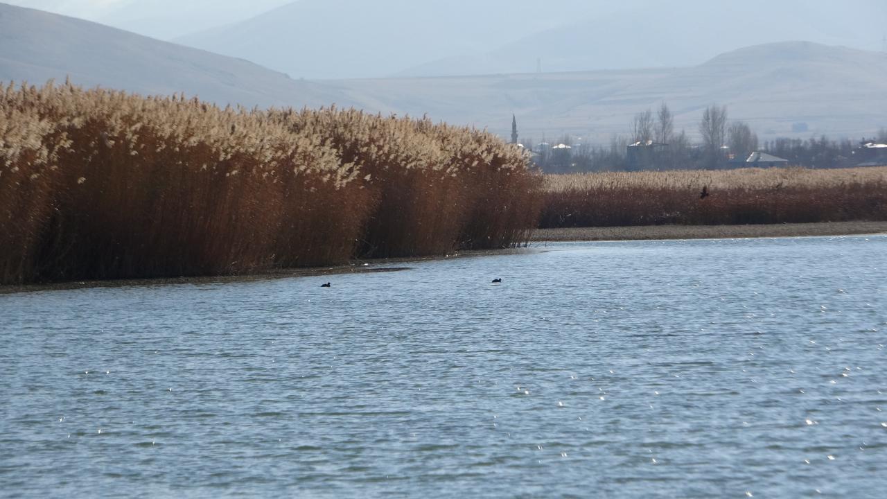 “Bölge korunarak turizme kazandırılabilir”