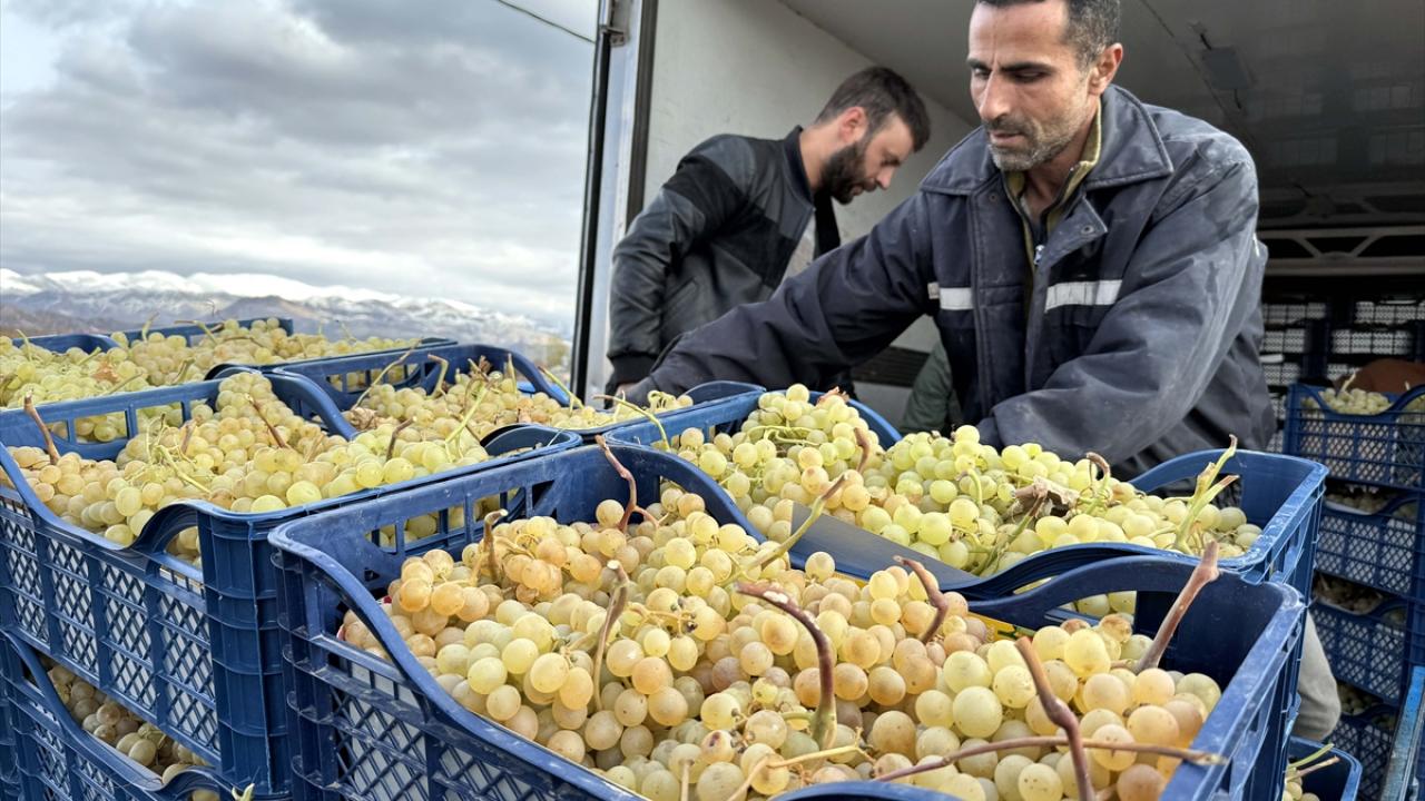 "Geceleri sıfırın altında 7 dereceyi dahi görüyoruz"