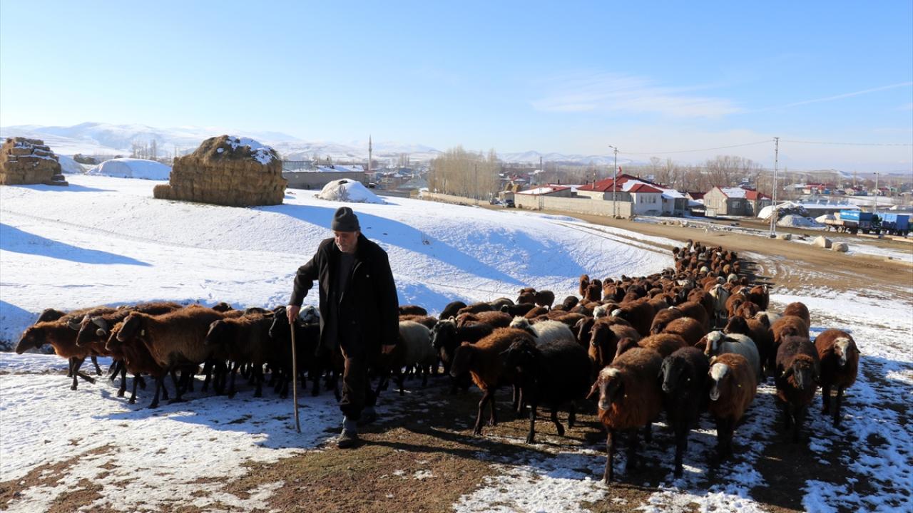 "5-6 ay karın altında kalıyoruz"