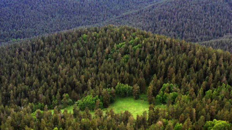 عهد جديد لحماية البيئة.. البرلمان التركي يضع الطبيعة في قلب أولوياته