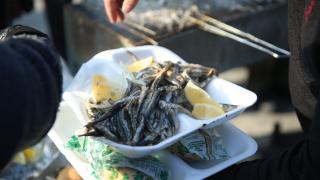 Ordu’da düzenlenen festivalde 10 ton hamsi tüketildi