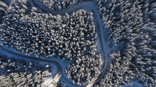 Ilgaz Dağı'nda karla kaplı ormanlara güneş eşlik etti