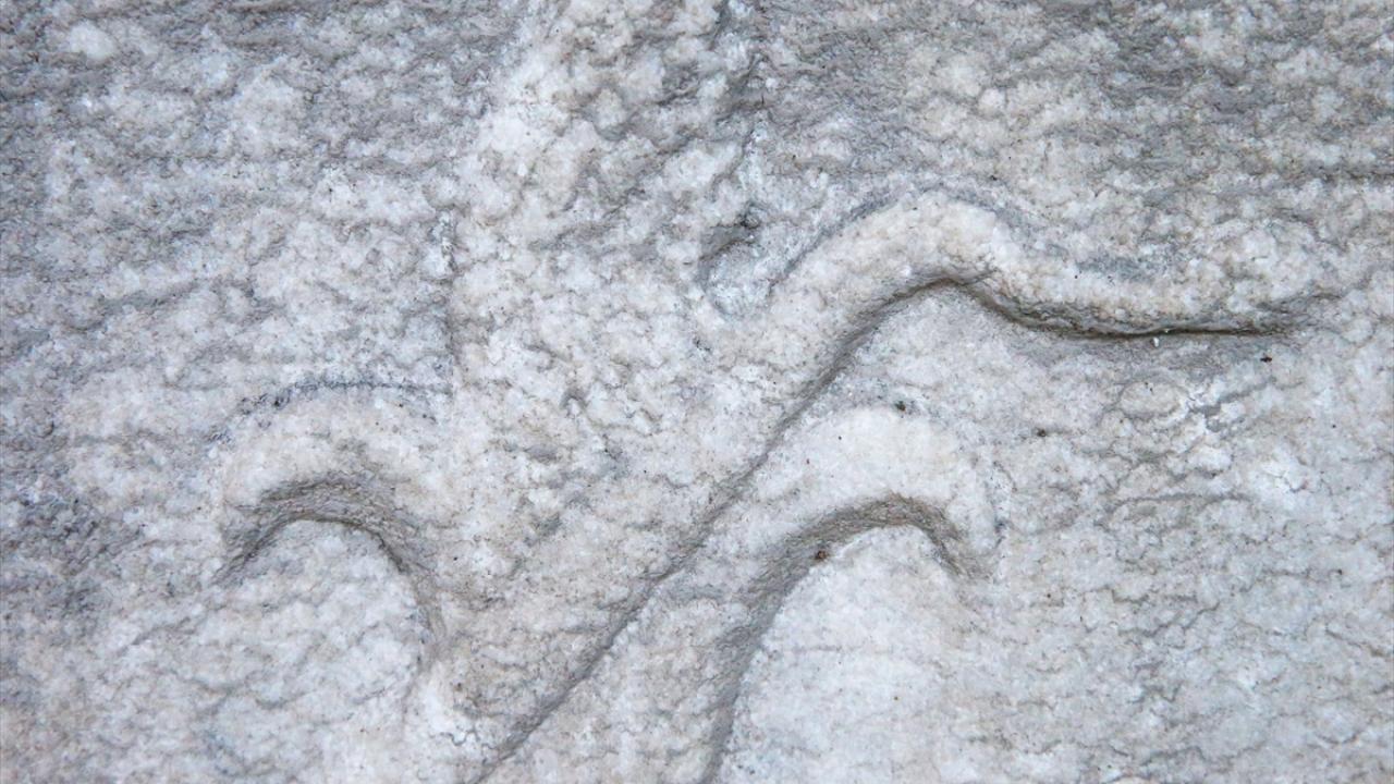 "Güzel sonuçlar geleceğini gösteriyor"