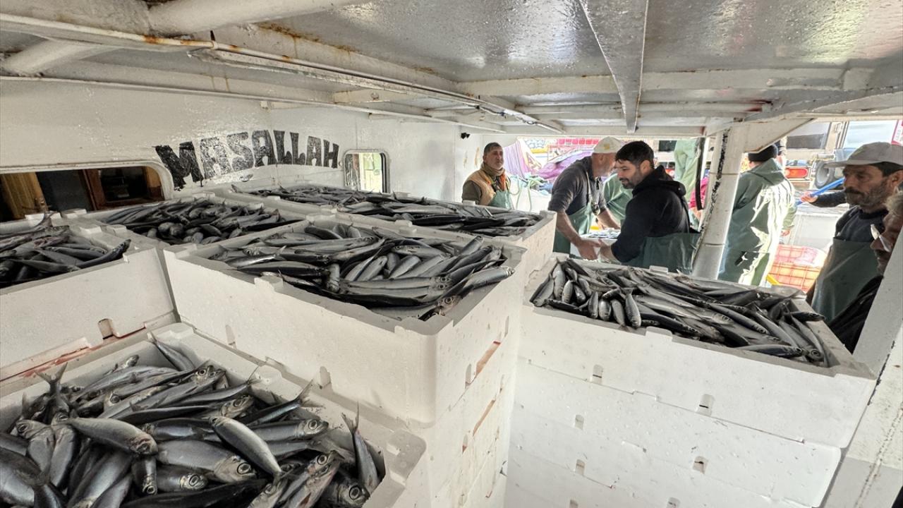 "Desteklerle bu balığın verdiği zararı azaltmaya çalışıyoruz"