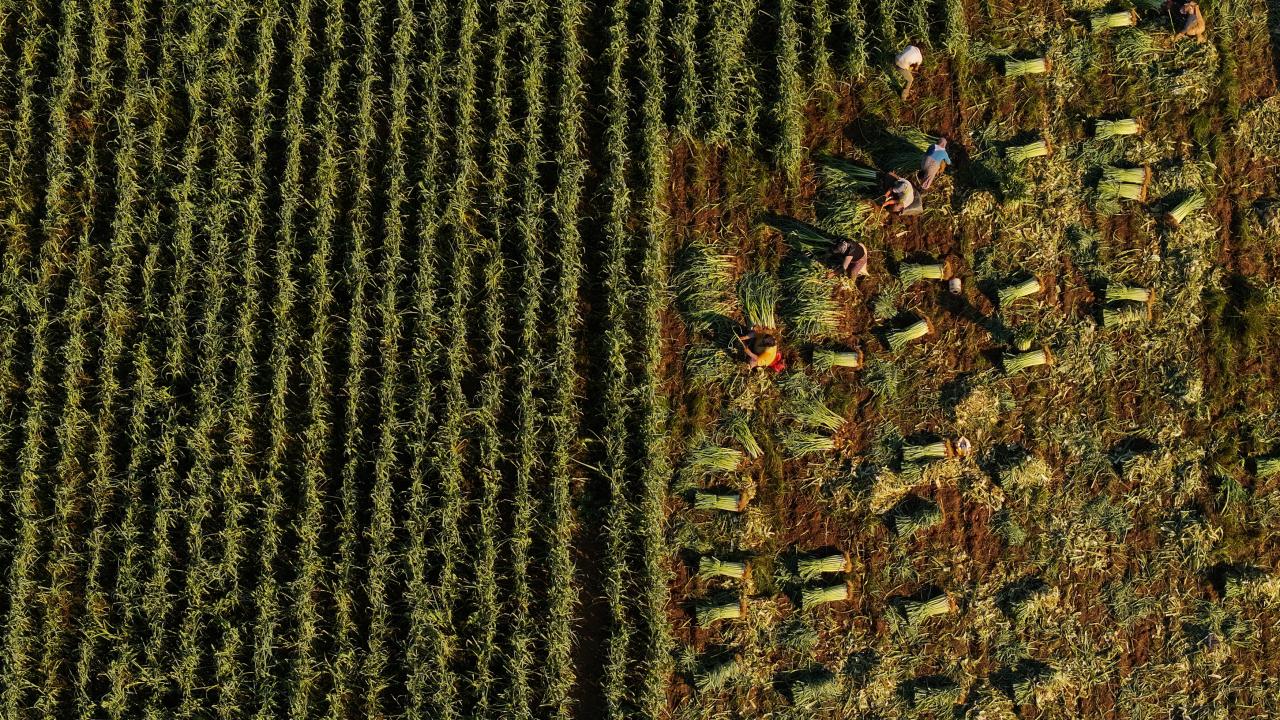 "Ürün artık olması gereken pazar kalitesine ulaştı"