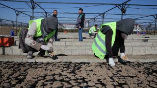 Yerli tohumdan elde edilen 2 milyon meyve fidanı toprakla buluşturuldu
