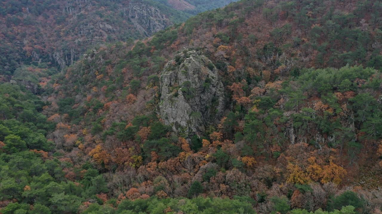 Kazdağları`nın oksijeni için İstanbul`dan Edremit`e yerleşmişler